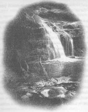 Иллюстрация к книге — Всё о непослушных принцессах и коварных драконах [img2_15.jpg]