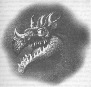 Иллюстрация к книге — Всё о непослушных принцессах и коварных драконах [img2_17.jpg]