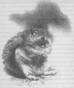 Иллюстрация к книге — Всё о непослушных принцессах и коварных драконах [img2_2.jpg]