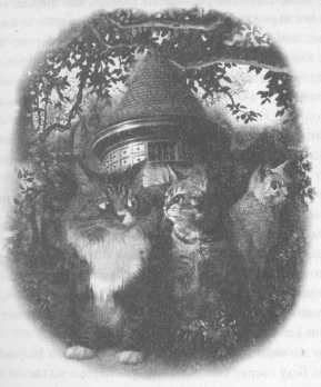 Иллюстрация к книге — Всё о непослушных принцессах и коварных драконах [img3_1.jpg]