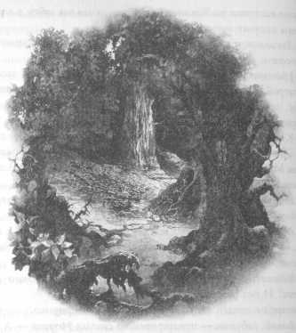 Иллюстрация к книге — Всё о непослушных принцессах и коварных драконах [img3_10.jpg]