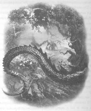 Иллюстрация к книге — Всё о непослушных принцессах и коварных драконах [img3_11.jpg]