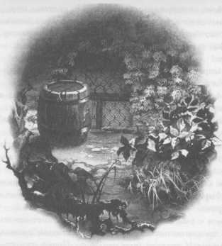 Иллюстрация к книге — Всё о непослушных принцессах и коварных драконах [img3_21.jpg]