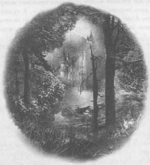 Иллюстрация к книге — Всё о непослушных принцессах и коварных драконах [img3_24.jpg]