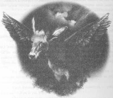 Иллюстрация к книге — Всё о непослушных принцессах и коварных драконах [img3_26.jpg]