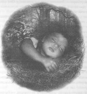 Иллюстрация к книге — Всё о непослушных принцессах и коварных драконах [img3_27.jpg]