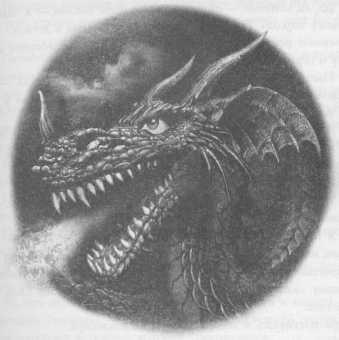 Иллюстрация к книге — Всё о непослушных принцессах и коварных драконах [img3_7.jpg]