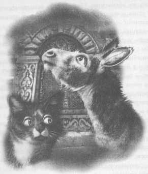 Иллюстрация к книге — Всё о непослушных принцессах и коварных драконах [img3_8.jpg]