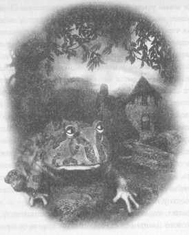 Иллюстрация к книге — Всё о непослушных принцессах и коварных драконах [img4_1.jpg]