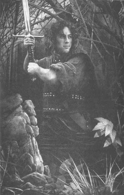 Иллюстрация к книге — Всё о непослушных принцессах и коварных драконах [img4_13.jpg]