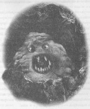 Иллюстрация к книге — Всё о непослушных принцессах и коварных драконах [img4_20.jpg]