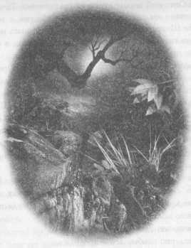 Иллюстрация к книге — Всё о непослушных принцессах и коварных драконах [img4_3.jpg]