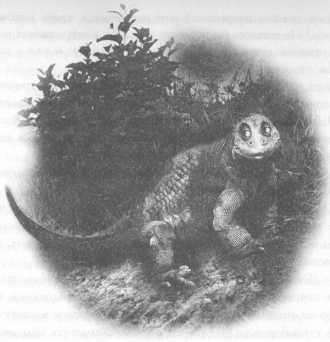 Иллюстрация к книге — Всё о непослушных принцессах и коварных драконах [img4_7.jpg]