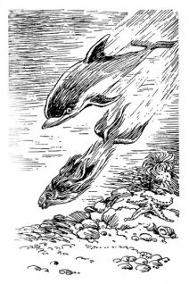 Иллюстрация к книге — Приключения Электроника [i_019.jpg]