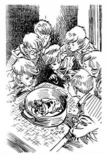 Иллюстрация к книге — Приключения Электроника [i_024.jpg]