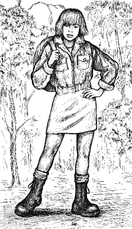 Иллюстрация к книге — Сыщик, ищи вора! [i_001.png]