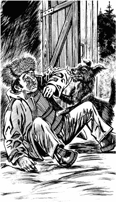 Иллюстрация к книге — Пудель бродит по Европе [Autogen_eBook_id0.jpg]