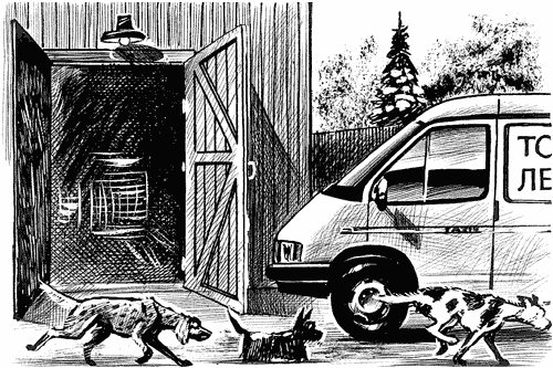 Иллюстрация к книге — Пудель бродит по Европе [Autogen_eBook_id1.jpg]