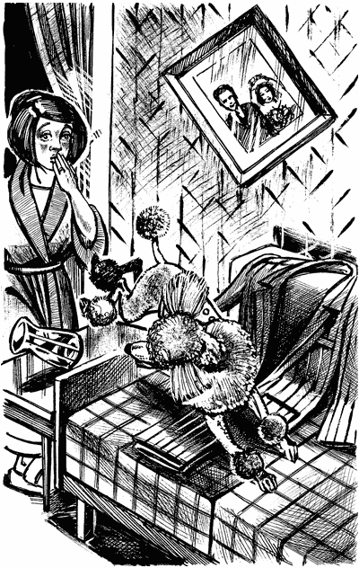 Иллюстрация к книге — Пудель бродит по Европе [Autogen_eBook_id6.jpg]