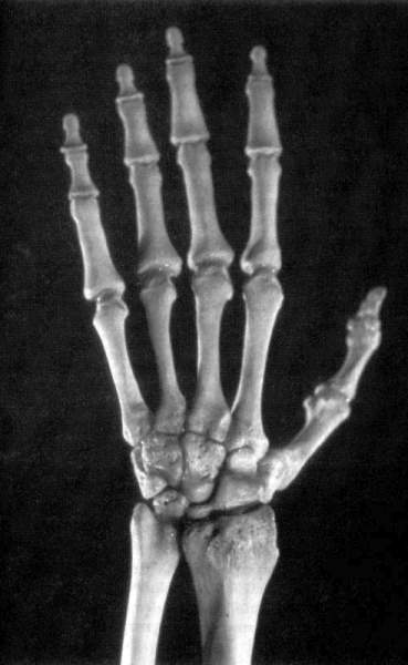 Иллюстрация к книге — Жутко громко и запредельно близко [image044.jpg]