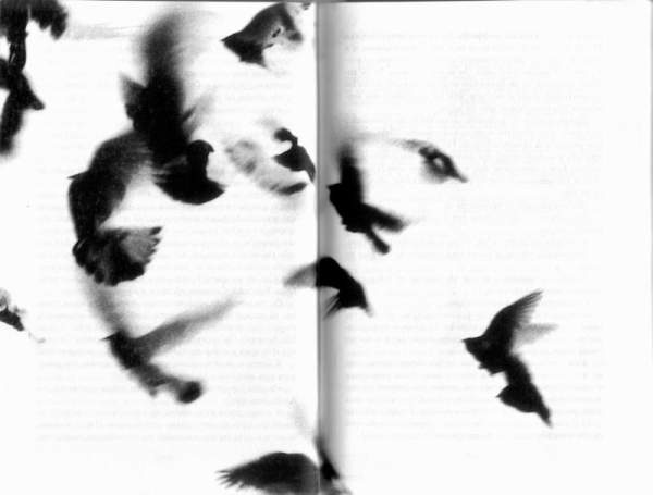 Иллюстрация к книге — Жутко громко и запредельно близко [image055.jpg]