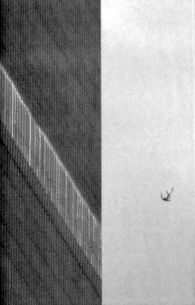 Иллюстрация к книге — Жутко громко и запредельно близко [image096.jpg]