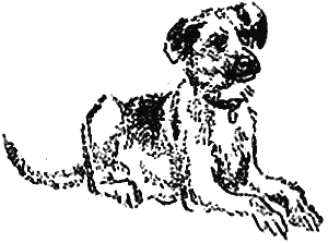 Иллюстрация к книге — Мы все из Бюллербю [i_005.png]