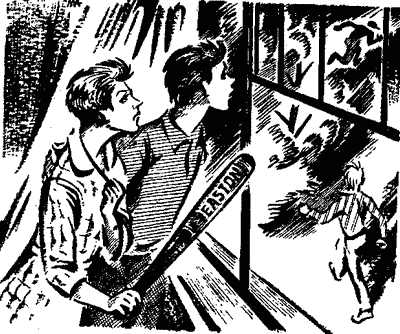 Иллюстрация к книге — Афера с бейсбольными открытками [i_004.png]