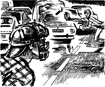 Иллюстрация к книге — Афера с бейсбольными открытками [i_005.png]