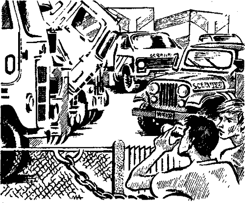 Иллюстрация к книге — Тайна «Серебряной звезды» [i_004.png]