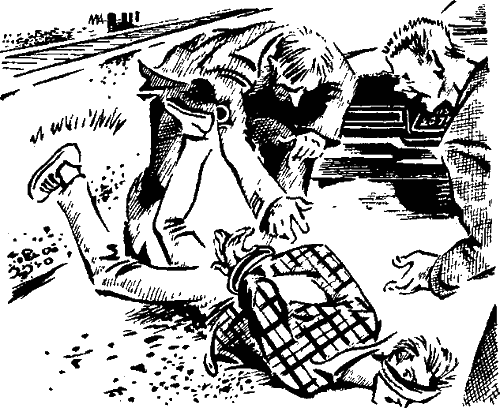 Иллюстрация к книге — Тайна «Серебряной звезды» [i_007.png]