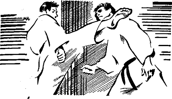 Иллюстрация к книге — Убийцы в черном [i_001.png]