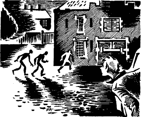 Иллюстрация к книге — Убийцы в черном [i_005.png]