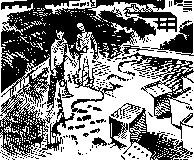 Иллюстрация к книге — Тайна змеиного зуба [i_003.png]