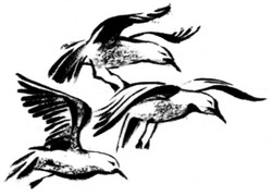 Иллюстрация к книге — Сердце Волка [_19.jpg]