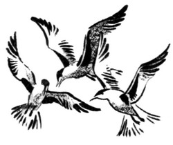 Иллюстрация к книге — Сердце Волка [_21.jpg]