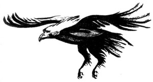 Иллюстрация к книге — Сердце Волка [_26.jpg]