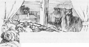 Иллюстрация к книге — Настоящая принцесса и Бродячий Мостик [i_005.jpg]