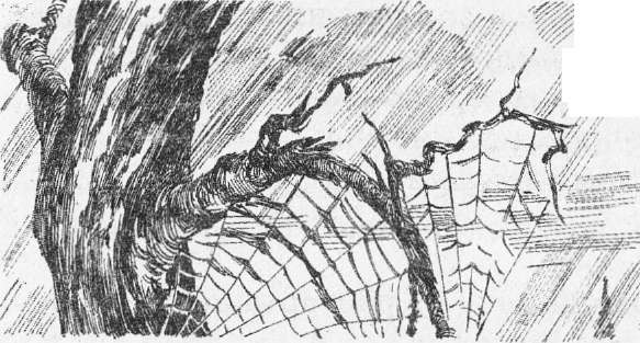 Иллюстрация к книге — Настоящая принцесса и Бродячий Мостик [i_012.jpg]