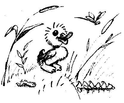 Иллюстрация к книге — Знаменитый утенок Тим [image0.png]