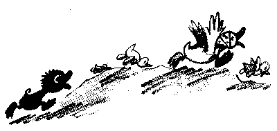 Иллюстрация к книге — Знаменитый утенок Тим [image10.png]