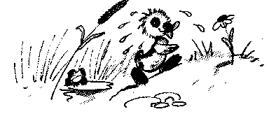 Иллюстрация к книге — Знаменитый утенок Тим [image13.png]