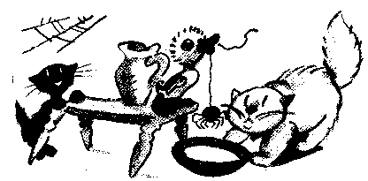 Иллюстрация к книге — Знаменитый утенок Тим [image22.png]