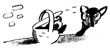 Иллюстрация к книге — Знаменитый утенок Тим [image28.png]