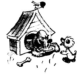 Иллюстрация к книге — Знаменитый утенок Тим [image46.png]