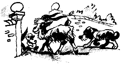 Иллюстрация к книге — Знаменитый утенок Тим [image54.png]