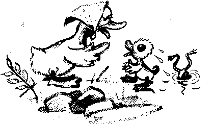 Иллюстрация к книге — Знаменитый утенок Тим [image6.png]