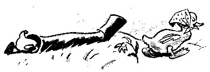 Иллюстрация к книге — Знаменитый утенок Тим [image7.png]