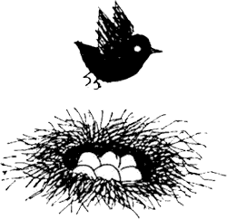 Иллюстрация к книге — Саша и Маша 1 [_65.png]