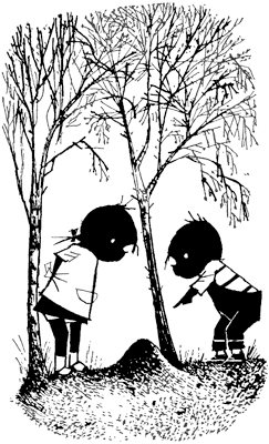 Иллюстрация к книге — Саша и Маша 5 [_60.png]